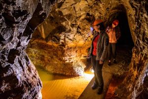 Hosté ubytování Autokemp / Speleocamp Malužiná