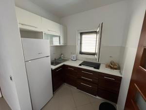 Kuchyň nebo kuchyňský kout v ubytování Apartments Pisačić
