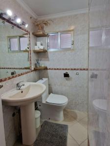 La salle de bains est pourvue d'un lavabo, de toilettes et d'un miroir. dans l'établissement Apartamento Henko, à Huelva