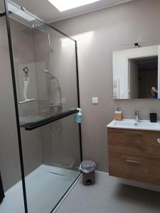 a bathroom with a glass shower with a sink and a mirror at Les granges du chiron in La Garnache