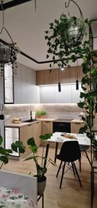 a kitchen with a table and some plants in it at Magic House Apartament Proszowska 58 II in Bochnia