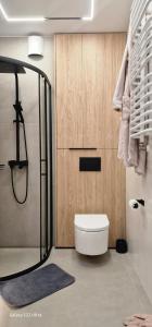 a bathroom with a shower and a toilet in a room at Magic House Apartament Proszowska 58 II in Bochnia