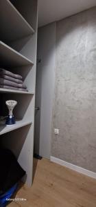 a room with a closet with shelves and a door at Magic House Apartament Proszowska 58 II in Bochnia