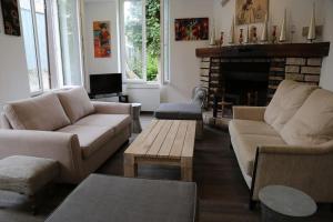 sala de estar con 2 sofás y chimenea en VillaSurSeine en Méry-sur-Seine