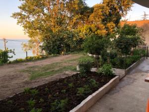 a garden with plants and trees and the water at Trabzon Blue Sea House in Akcaabat