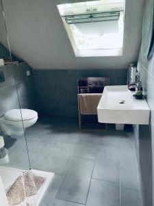 a bathroom with a sink and a toilet and a window at Studio au bord de la forêt de Perseigne in Beauvoir