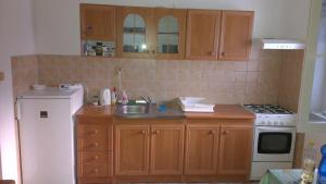 a small kitchen with a sink and a refrigerator at Vila Nela in Podhájska