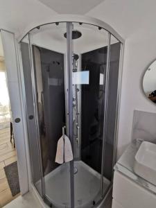 y baño con ducha y puerta de cristal. en Studio neuf proche Camargue, en Gallargues-le-Montueux