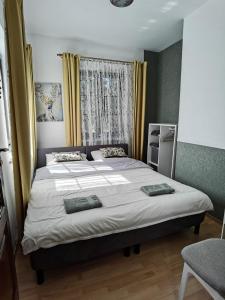 Tempat tidur dalam kamar di Apartament Wodna Ostoja z kominkiem