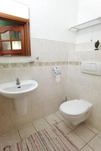 un baño con inodoro y lavabo en Wodna Ostoja z kominkiem nad jeziorem Selment, en Buczki 107 fotos más