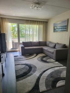uma sala de estar com um sofá e um tapete em Apartment in Kotka em Kotka