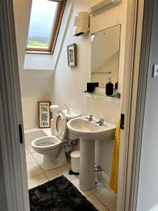 W łazience znajduje się toaleta, umywalka i lustro. w obiekcie Spectacular Ocean Views in Tranquil and Private Location w mieście Dooagh