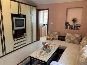 uma sala de estar com um sofá e uma televisão em Apartments Orfej em Sveti Stefan