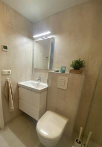 a bathroom with a toilet and a sink and a mirror at Vallakot Farm Guesthouse in Laugar