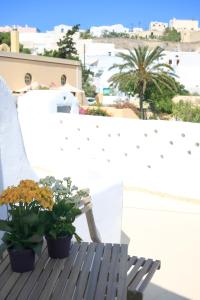 a balcony with two potted plants on a bench at Stoa Cave Villas in Mesaria