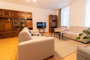 - un salon avec deux canapés et une télévision dans l'établissement Radu's - Traditional Ultracentral Apartment in the Old Town, à Braşov