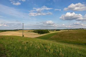 a field with a telephone pole in the middle of a field at Jurtowe Wzgórze Glamping in Grabinek