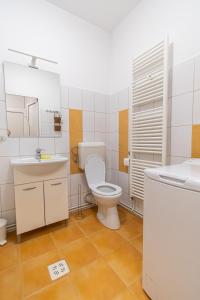 La salle de bains est pourvue de toilettes, d'un lavabo et d'un miroir. dans l'établissement Radu's - Traditional Ultracentral Apartment in the Old Town, à Braşov