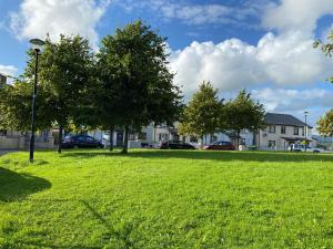 a park with two trees and a light pole at Sligo town House in Sligo