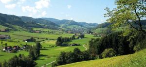 Foto dalla galleria di Gasthaus Zum Wilden Mann a Welschensteinach Altre 13 foto