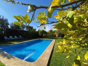 a swimming pool in the yard of a house at Domo La Luz in Olmué