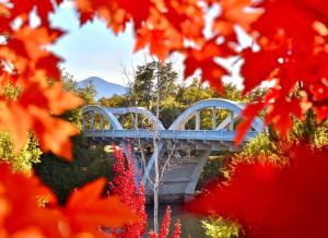 a blue bridge over a river with red flowers at Riverside Cabin 1 in Grants Pass