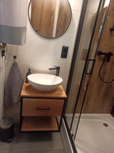 een badkamer met een wastafel en een douche bij Domek na Pałukach 