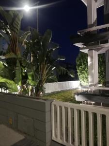 Eine Pflanze in einer Pflanze neben einem Zaun in der Nacht. in der Unterkunft Buddies Charm House in Aveiro