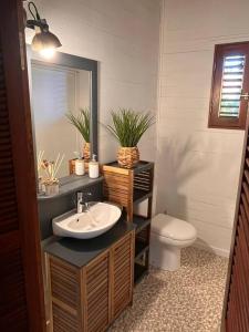 a bathroom with a sink and a toilet and a mirror at Bungalow avec jacuzzi privatif in Sainte-Rose