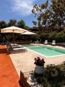 - Piscina con sombrilla, sillas y mesa en Villa Patrizia con piscina privata, en Stintino