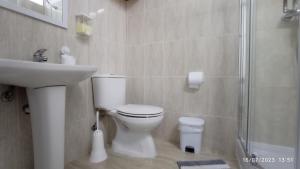 a bathroom with a toilet and a sink and a shower at Cantinho dos Remédios in Lajes +13 photos