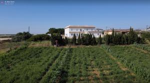 Сад в Alojamiento Rural Al´Mare
