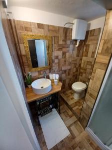 een badkamer met een wastafel en een toilet bij Kuca za odmor "MARIJA" in Vrbovsko