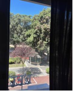 a window view of a park with a tree at Casa Domus del Chirurgo in Rimini