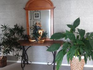 a mirror with a statue on a shelf with plants at Once Upon a Tide in Auckland