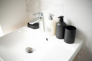 a bathroom sink with two bottles of soap and a faucet at MLA Homes - Sunny Foller in Nancy