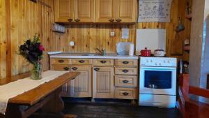 eine Küche mit einer Spüle, einem Herd und einem Kühlschrank in der Unterkunft Stara kuca u Virku in Žabljak