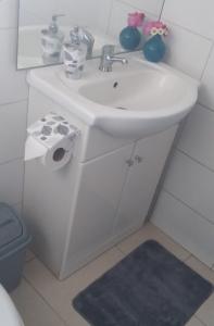 ein Bad mit einem Waschbecken und einem WC in der Unterkunft Alojamiento Rural Polita, Agroturismo y Patrimonial in Petorca