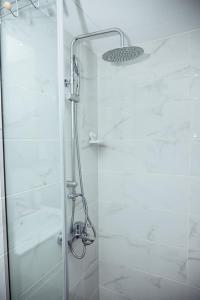 a shower with a glass door in a bathroom at Executive Luxury Apartment Embassy Gardens in Accra