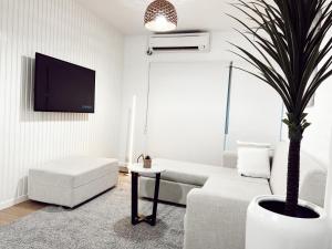 salon z kanapą i doniczką w obiekcie Gladstone Gem 3 - Suva CBD 2bd Apt w mieście Suva