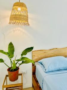 Galeriebild der Unterkunft Casa Martin Cahuita Charming Spanish Home in Cahuita