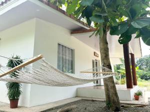 a hammock hanging from a tree in front of a house at Casa Martin Cahuita Charming Spanish Home in Cahuita