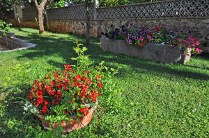 Ein Garten an der Unterkunft Apartments Maria
