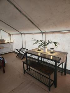 a room with a table and a plant in a tent at Prairie Falcon in Valle
