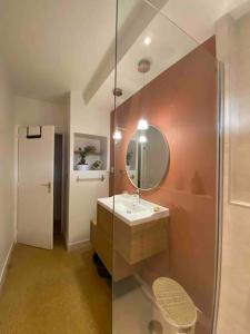 La salle de bains est pourvue d'un lavabo et d'un miroir. dans l'établissement T1 rénové, idéalement situé, à Grenoble