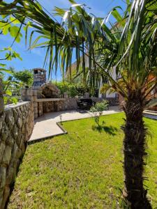 a palm tree in a yard next to a stone wall at Apartments Tadic in Omišalj