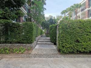 拉威海灘的住宿－Rawai beachfront - The Title Condominium，两座灌木丛和一座建筑之间的路径