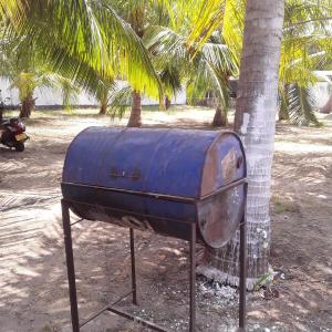 a blue object is sitting next to a palm tree at Cafe Nilaveli in Nilaveli