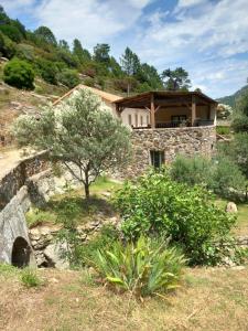 una casa de piedra con un árbol delante en A Guinguetta en Venaco