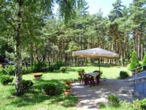 Gallery image of Cunami in Nida